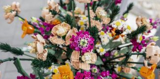 Lego hits record revenue in first half of 2025, boosted by brick flowers and cars