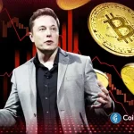BREAKING: Elon Musk Endorses Bitcoin Again After Years Amid Crypto Bloodbath