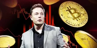 BREAKING: Elon Musk Endorses Bitcoin Again After Years Amid Crypto Bloodbath