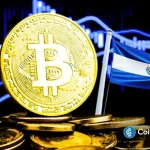 El Salvador Makes Its Largest Bitcoin Purchase Ever Despite Rising Market Sell-Off