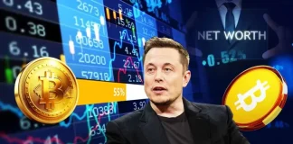 Elon Musk Net Worth 2025: How Close Is He to Half of Bitcoin’s Market Cap?