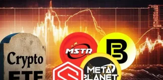 Expert Says Crypto ETFs Could Be ‘Death-Knell’ for Treasury Firms MSTR, MTPLF, BMNR, SBET