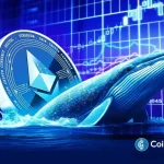 Is Ethereum Price Set for a rebound as Whale accumulation Intensifies?