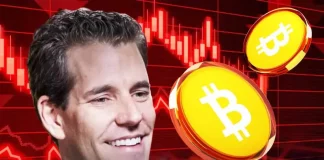 Bitcoin Price Crash to $89K, Last Chance to Buy Under $90K, Says Gemini Co-Founder