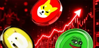 Meme Coin Market Dead? Top 5 Reasons Dogecoin, Shiba Inu, and Pepe Are Crashing