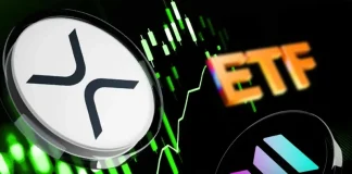 Solana and XRP ETFs Attract Fresh Inflows Even as Crypto Market Falls