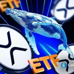 Spot XRP ETF Records First Outflow of Over $40 Million, Here’s Why