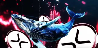 XRP News: Why Whales Sold 440M Coins in a Month Despite ETF Launch Buzz