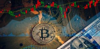 Crypto Market Update: Bitcoin Takes Back Losses, Analysts Predict Price Rally Will Continue