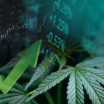 Is 2026 The Year The Cannabis Industry Matures?