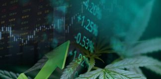 Is 2026 The Year The Cannabis Industry Matures?
