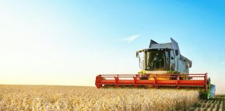 Top 10 Phosphate Countries by Production