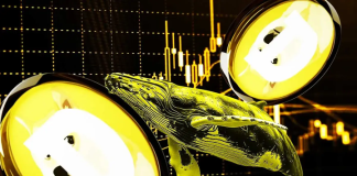 Dogecoin Price Eyes $0.20+ Following Massive 218M DOGE Whale Buying Spree
