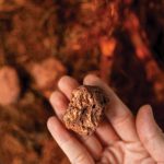 PPC, Lundin Freeze 2026 Processing Fees as Smelters Near Breaking Point