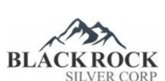 Blackrock Silver Announces Final Assays from Eastern Expansion Drill Program at Tonopah West
