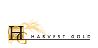 Harvest Gold Provides Update on its Ongoing Drill Program at Mosseau and Has Completed its High-Resolution Airborne Magnetic Survey of Mosseau and Labelle