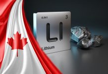 Top 5 Canadian Lithium Stocks of 2025