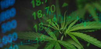 Cannabis Market 2025 Year-End Review