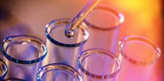 Top 5 Small-cap Biotech Stocks of 2025