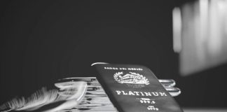 WPIC: Platinum Market Set for 2026 Stability After Years of Deep Deficits