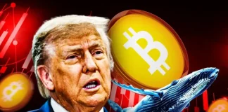 ‘Trump Insider Whale’ Increases Bitcoin Short to $485M Amid Crypto Market Crash